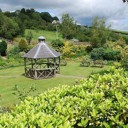 The Waie Inn Copplestone Bagian luar foto